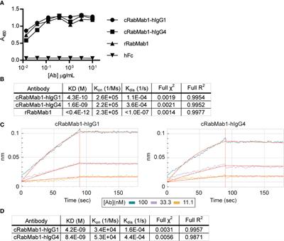 A First-In-Class, Humanized Antibody Targeting Alternatively Spliced Tissue Factor: Preclinical Evaluation in an Orthotopic Model of Pancreatic Ductal Adenocarcinoma